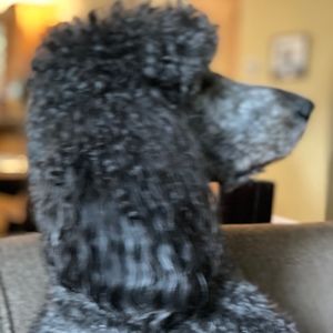 Meet your Posher, Joyce